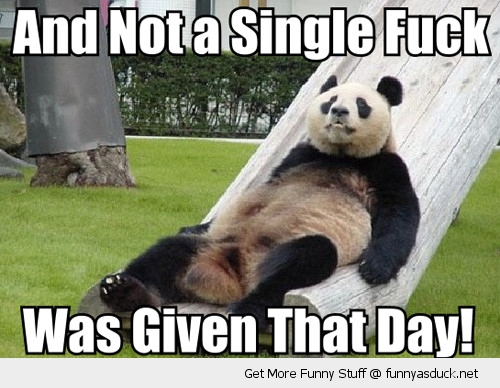 And Not A Single Fuck Funny Panda Bear