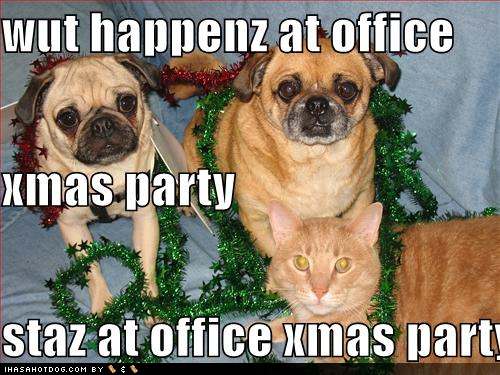 Animals Xmas Party Funny Picture