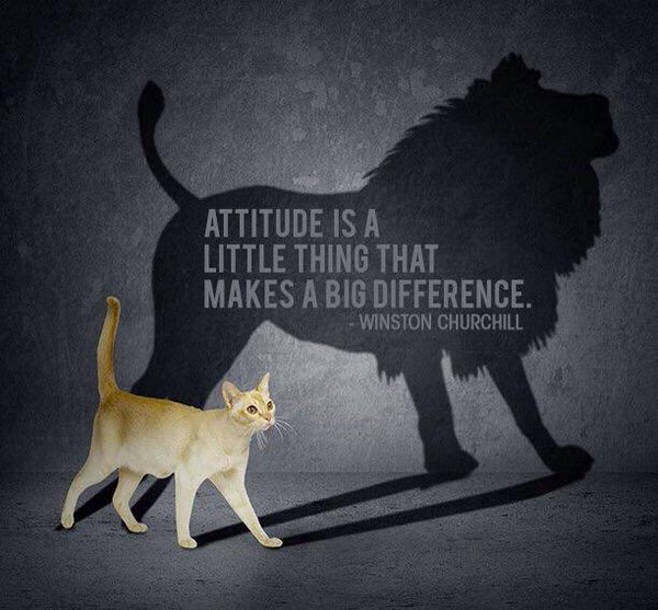 Attitude is a little thing that makes a big difference (5)