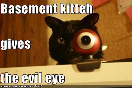 Basement Kitten Gives The Evil Eye Funny Image