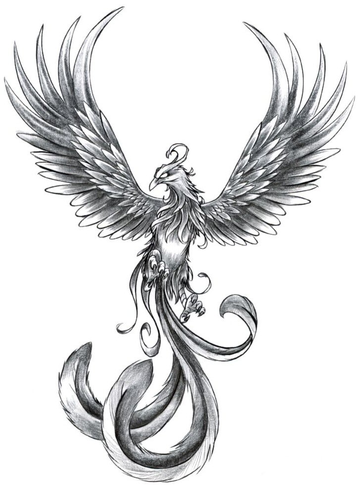 Black And Grey Flying Phoenix Tattoo Design