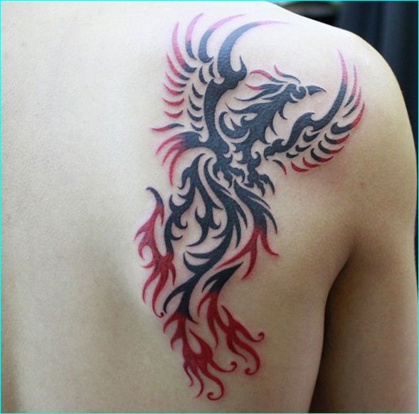 Black And Red Tribal Phoenix Tattoo On Right Back Shoulder