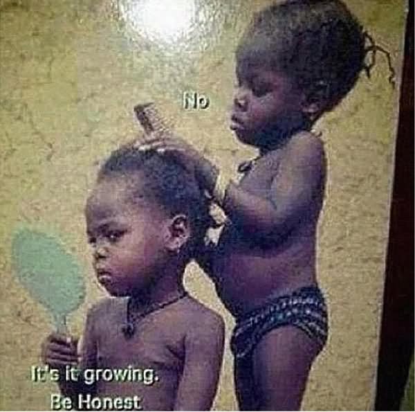 Black Baby Combing Hair Funny Image