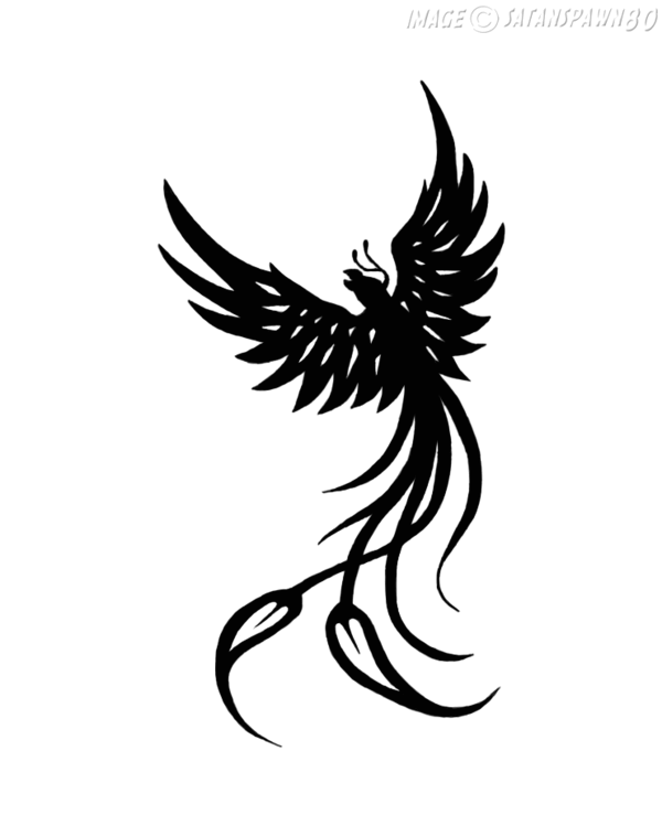 Black Flying Phoenix Tattoo Stencil By Kate