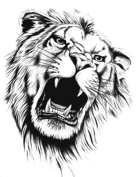 Black and white Roaring Lion Tattoo Design