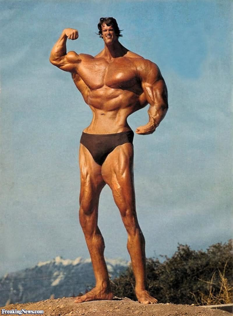 Arnold With Short Arms And Tiny Head Funny Image