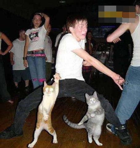 Boy Dancing With Cat Funny Party Picture