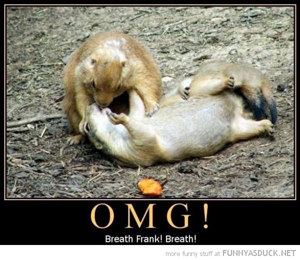 Breath Frank Breath Funny Squirrels Funny OMG Poster