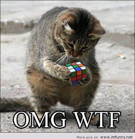 Cat With Cube Box OMG Wtf Funny Picture