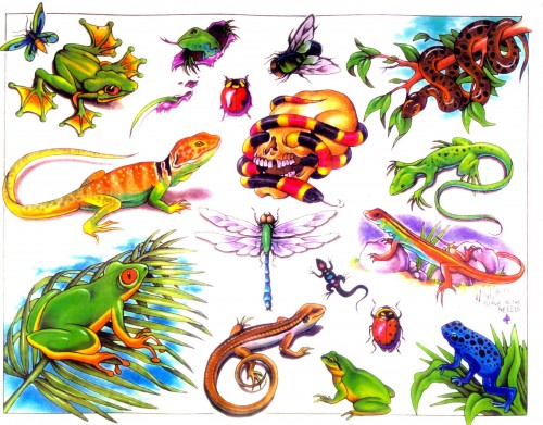 Colorful Frog, Snake And Lizard Tattoo Flash