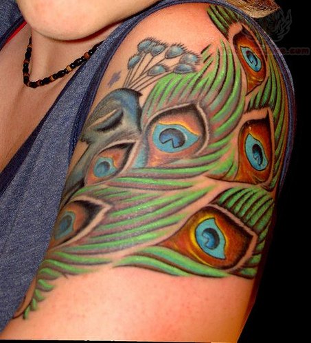 Colorful Peacock Feathers Tattoo On Left Shoulder