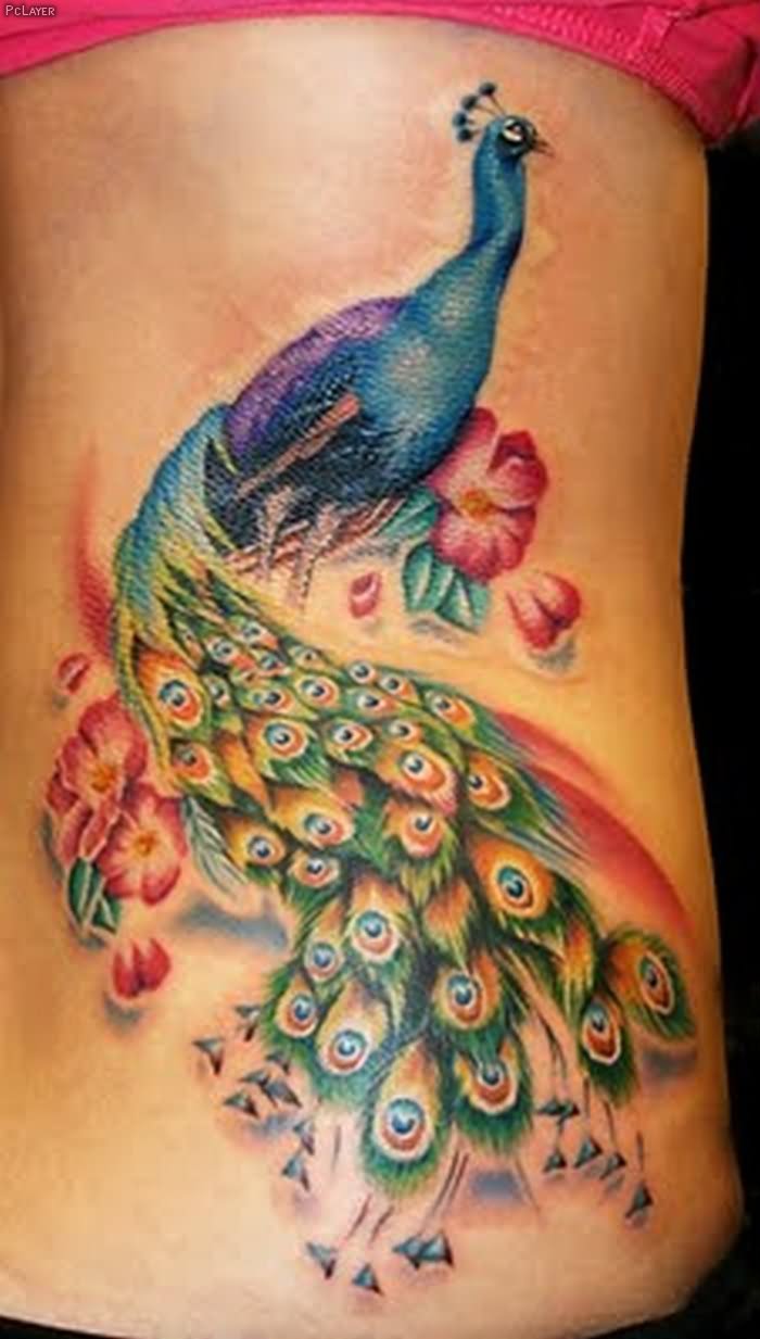 Colorful Peacock Tattoo On Side Rib