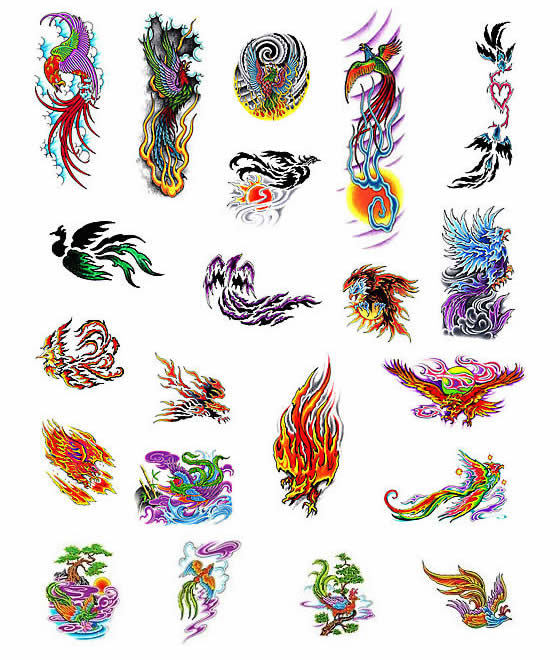 Colorful Phoenix Tattoo Flash