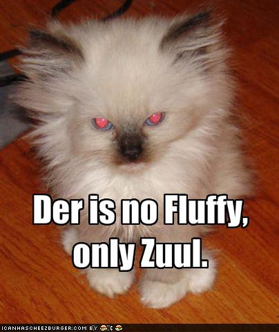 Der Is No Fluffy Only Zuul Funny Evil Puppy