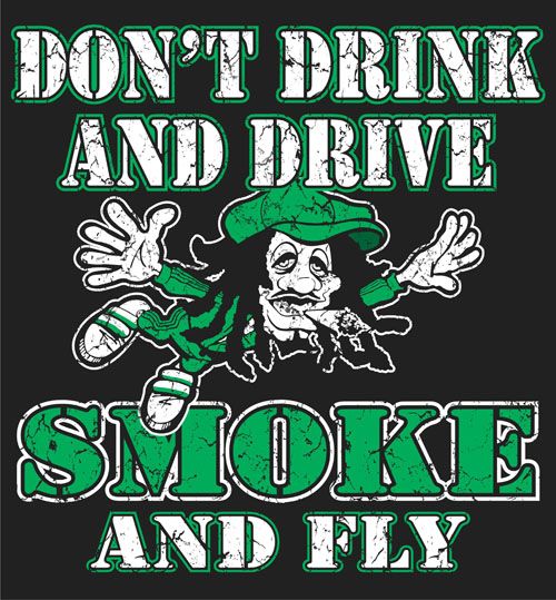 Don't Drink And Drive Smoke And Fly Funny Image