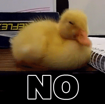 Duckling Shaking Head And Say No Funny Gif