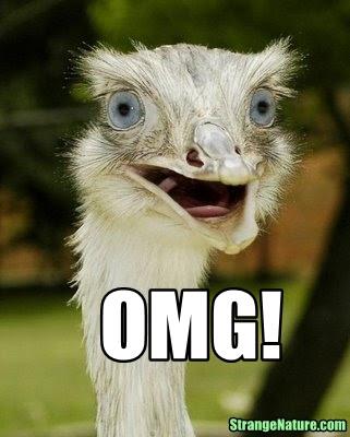 Emu Shocked Face Funny OMG Image