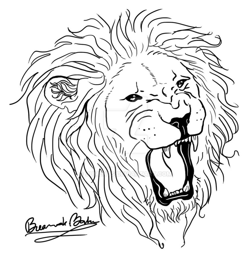 Freehand lion tattoo sketch by Juments