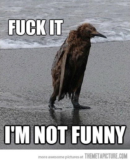 Fuck It I Am Not Funny Penguin Picture