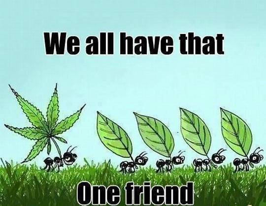 20 Most Funny Weed Pictures And Photos