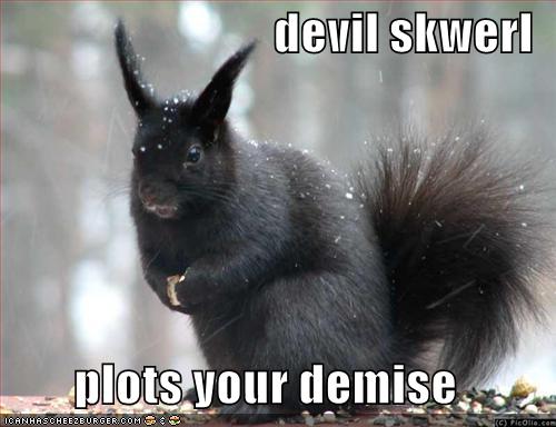 Funny-Black-Evil-Squirrel-Image.jpg