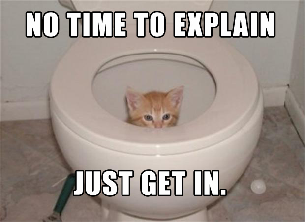 Funny Cat Stuck In Toilet No Time To Explain