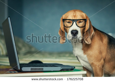 Funny Dog Wearing Glasses Using Laptop