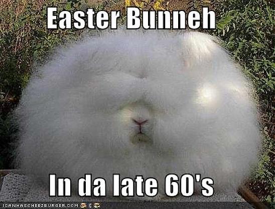 Funny Easter Fluffy Bunny Image