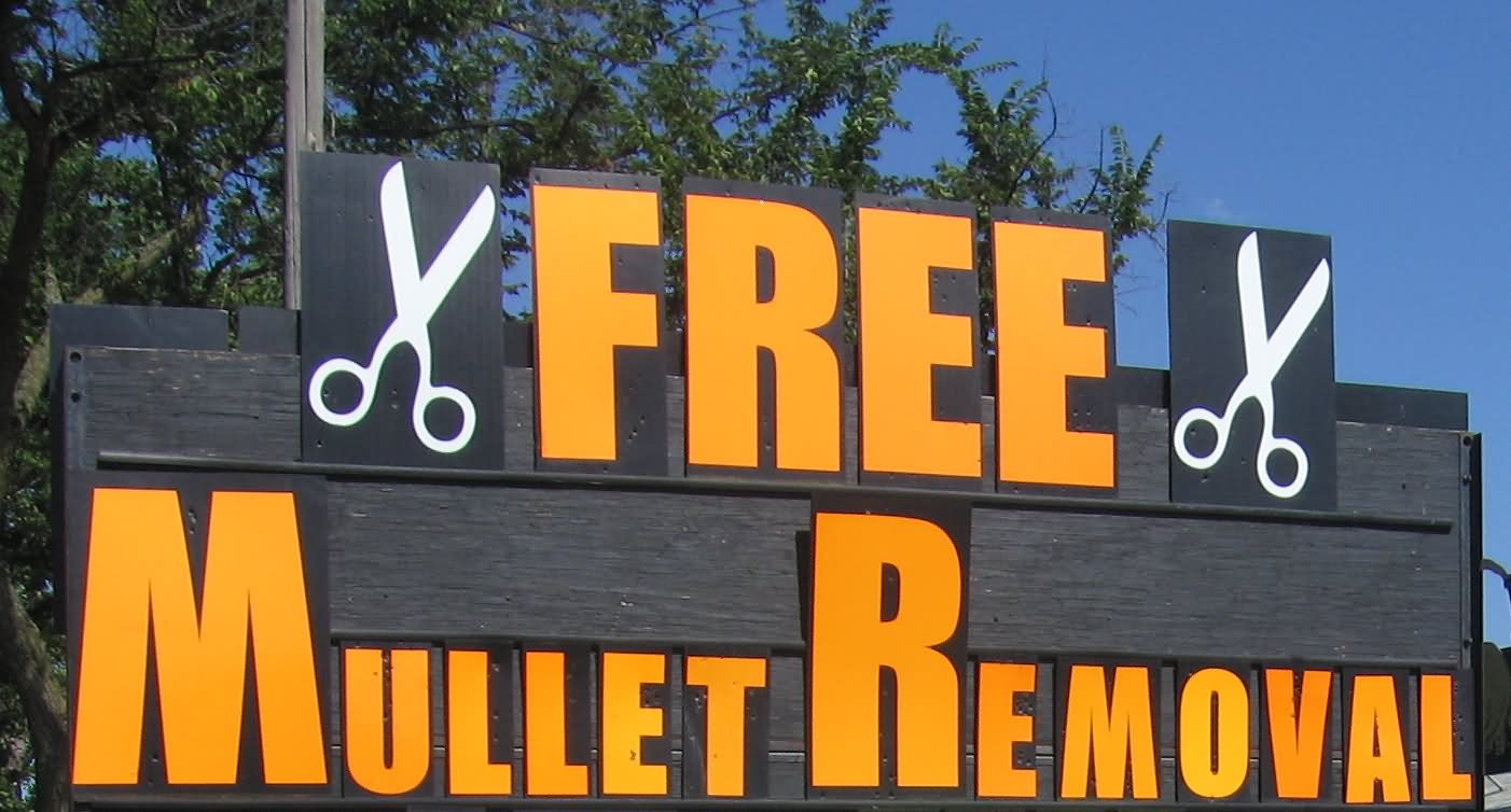 Funny Free Mullet Removal Image
