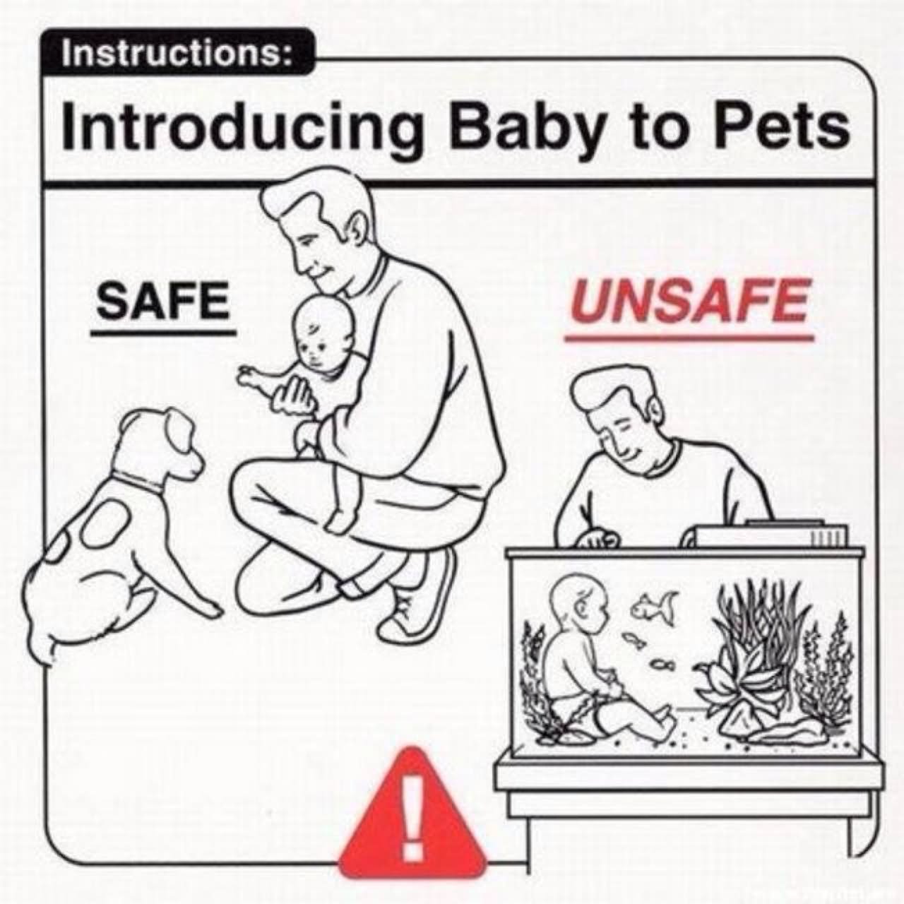 Funny Introducing Baby To Pets Instruction
