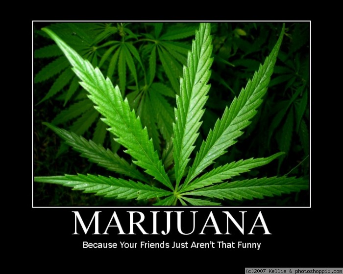 Funny Marijuana Weed Poster