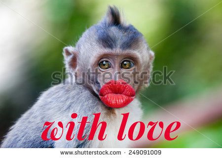 Funny Monkey With Red Lips