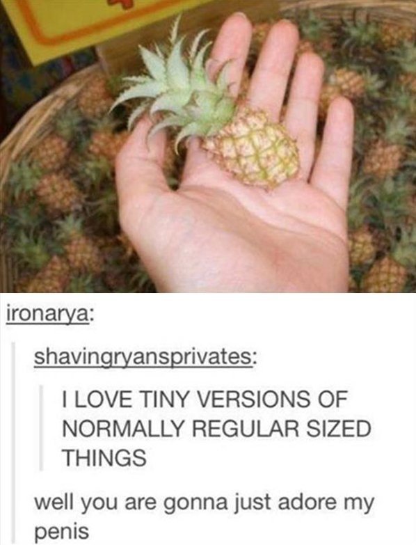 Funny Tiny Pineapple Image