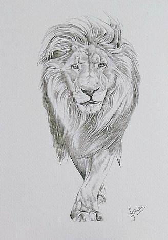 Grey realistic lion tattoo design from front