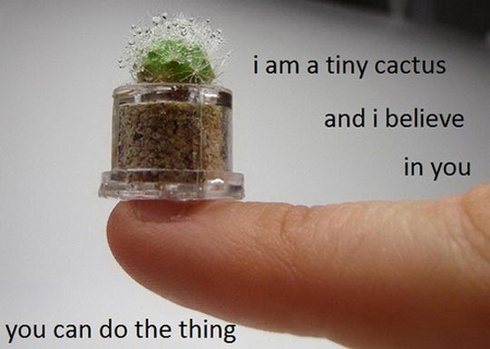 I Am A Tiny Cactus Funny Picture
