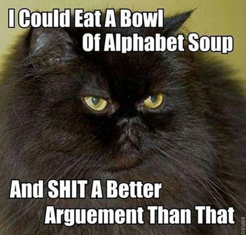 I Could Eat A Bowl Of Alphabet Soup Cat Angry Funny OMG