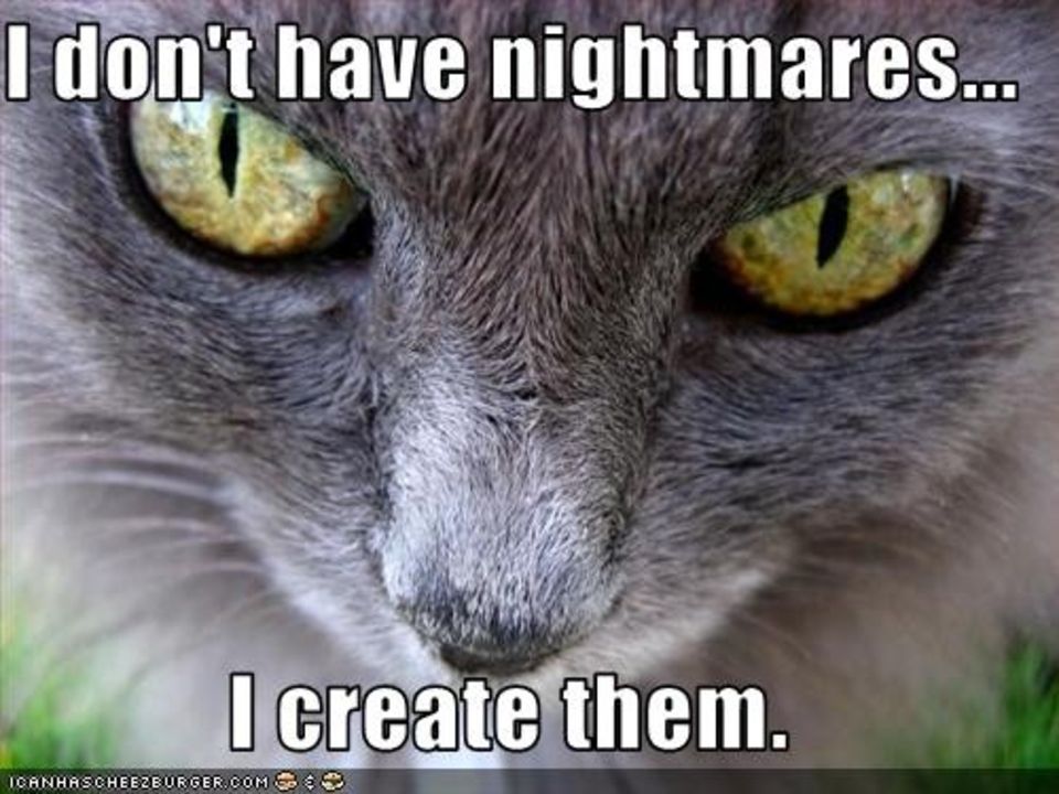 I Don't Have Nightmares Funny Evil Eyes Cat