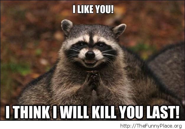 I Like You I Think I Will Kill You Last Funny Evil Raccoon Image