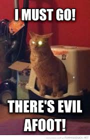I Must Go There's Evil Afoot Funny Cat