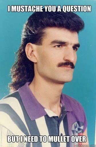 I Mustache You A Question Funny Mullet Image