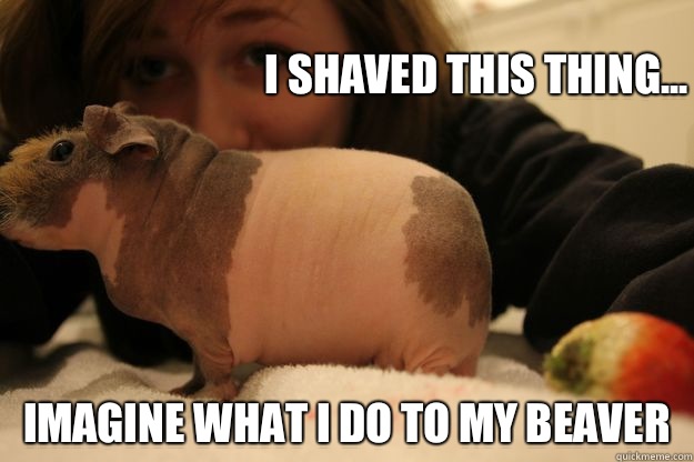 I Shaved This Thing Funny Picture