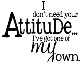 I don't need your attitude... I've got one of my own.