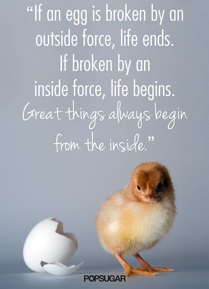 If an egg is broken by outside force, life ends. If broken by inside force, life begins. Great things always begin from inside 