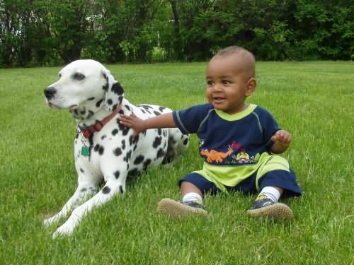 Kid Sitting With Dalmatian Dog In Park