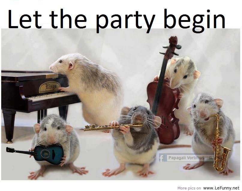 Let The Party Again Funny Squirrels Picture