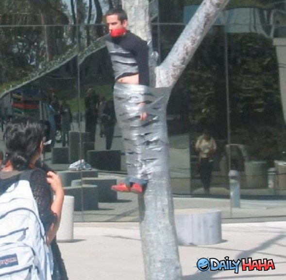 Man Wrapped With Tree Funny Duct Tape
