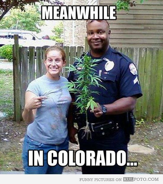 Meanwhile In Colorado Funny Weed Picture