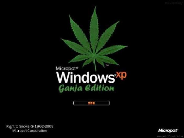 Micropot Windows Ganga Edition Funny Weed