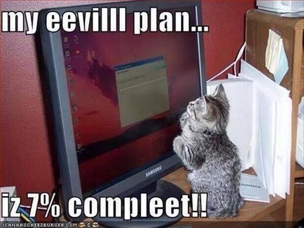 My Evil Plan Is 7 Percent Complete Funny Kitten