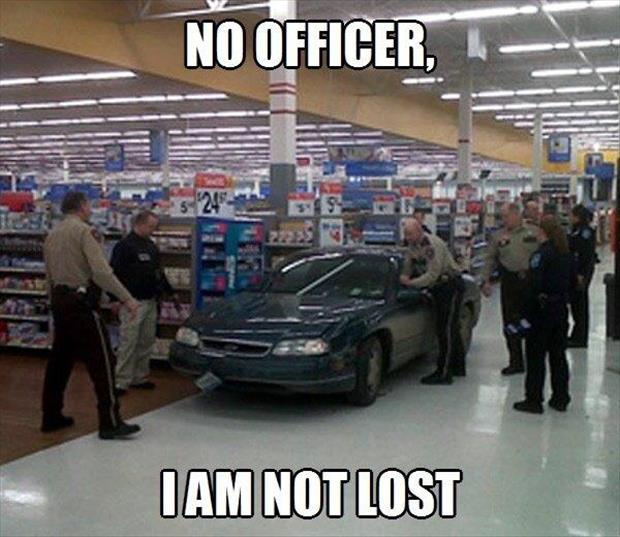 No Officer I Am Not Lost Funny Picture